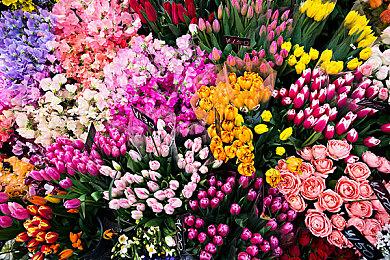 《神秘海域：宝藏猎人》手游即将关服 内购已关闭