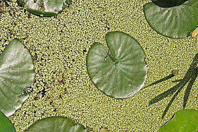 传闻：PS5 Pro年底发售 光驱版售价590英镑