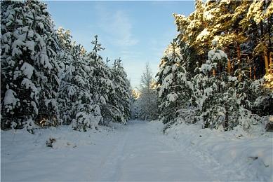 宫本茂：马里奥电影对今后马里奥游戏是个劣势